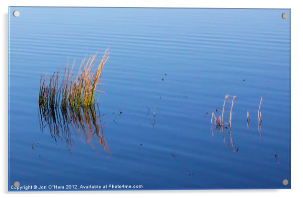 CALM LOCH OBSERVATIONS 7 Acrylic by Jon O'Hara