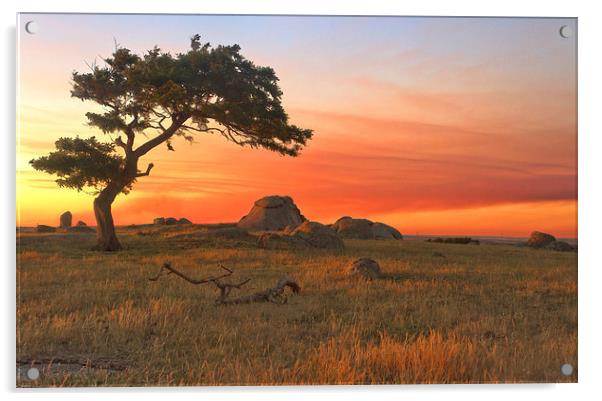 Sunset At Dog Rocks Acrylic by Matthew Burniston