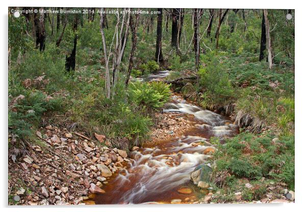  Peacefull stream flows through the aussie bush Acrylic by Matthew Burniston