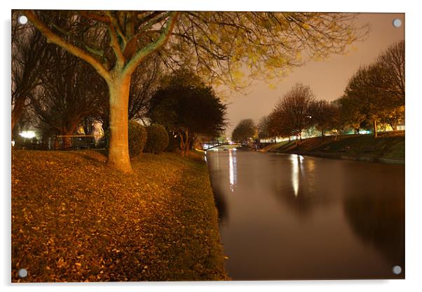Hythe Canal At Midnight Acrylic by David Shackle