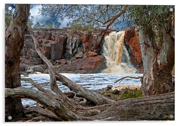 Nigretta Falls Acrylic by Mark Preston