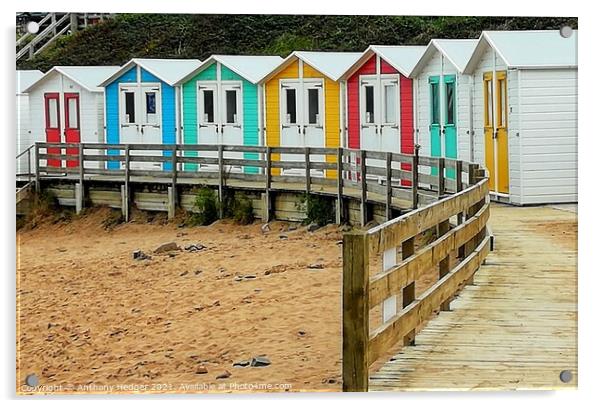 Colourful beach huts Acrylic by Anthony Hedger