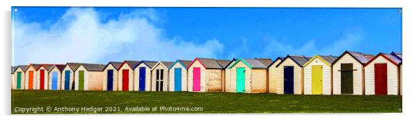 Beach Huts Acrylic by Anthony Hedger