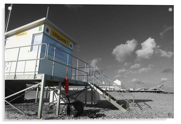 Lifeguard Acrylic by Simon Deacon