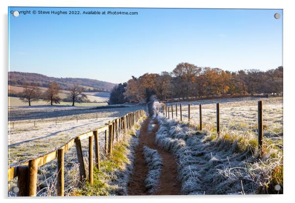 Footpath in the frost Acrylic by Steve Hughes