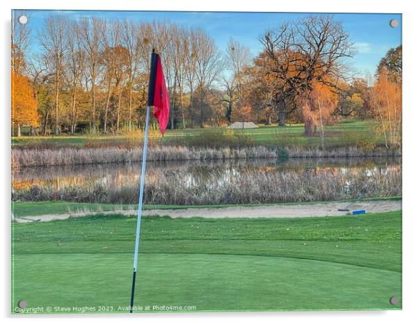 Standing on the 18th green Acrylic by Steve Hughes