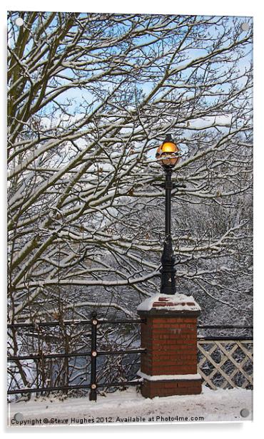 Snowy Lamp Basingstoke Canal Woking Acrylic by Steve Hughes
