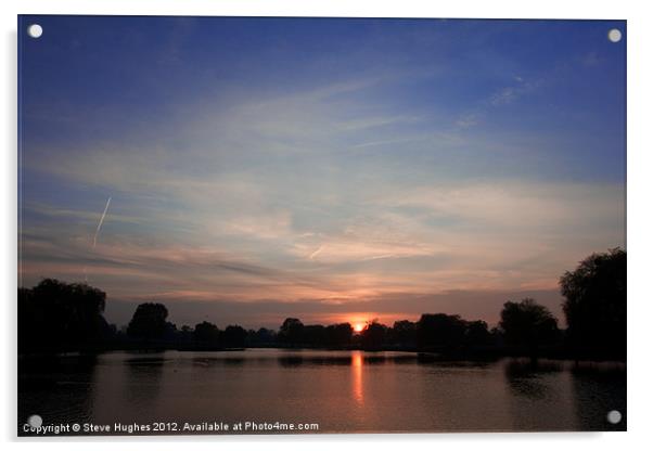 Sundown at Bushy Park Acrylic by Steve Hughes