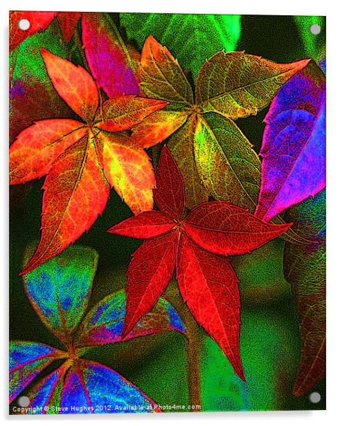Vibrant multi coloured leaves Acrylic by Steve Hughes