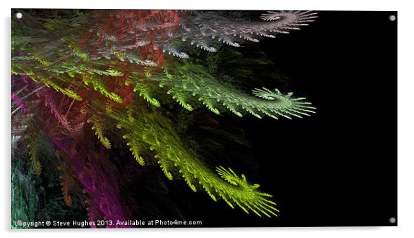 Fractal Flame digital art Acrylic by Steve Hughes