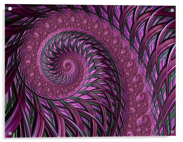 Fractal art maroon spirals Acrylic by Steve Hughes