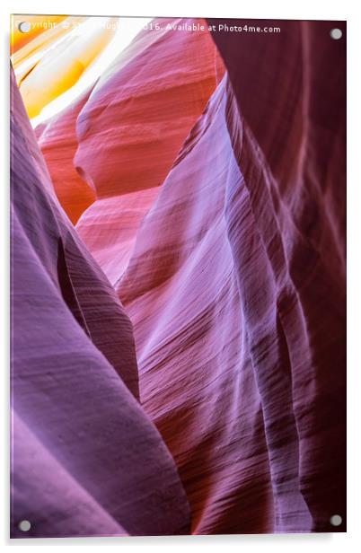 Colours in the rocks of Lower Antelope Canyon Acrylic by Steve Hughes