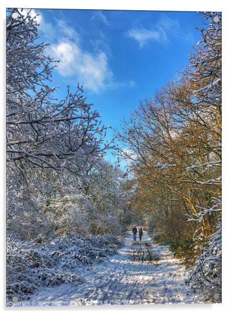 Snowy walk at Newlands Corner Acrylic by Steve Hughes