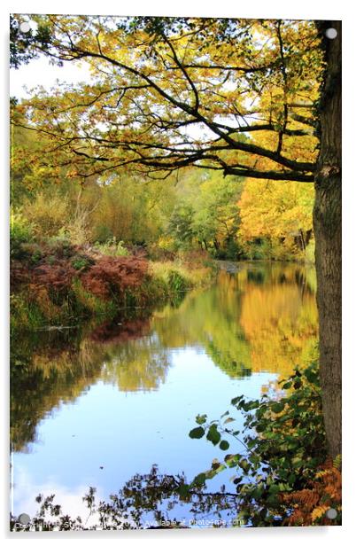 Basingstoke Canal in Autumnal colours Acrylic by Steve Hughes