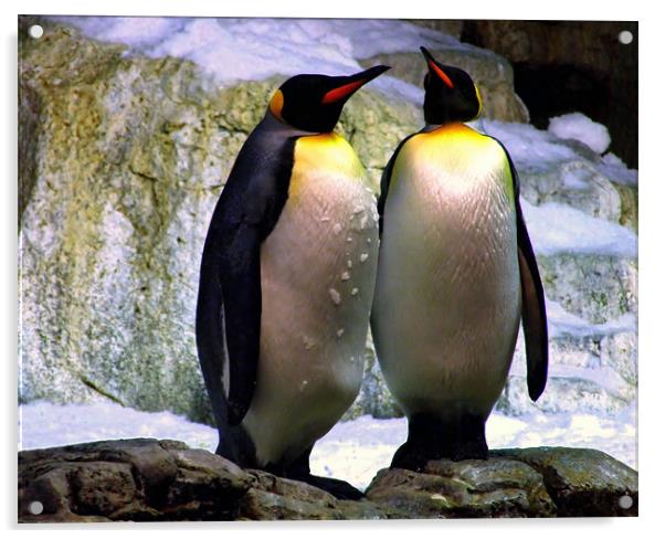 Penguin Partners Acrylic by Mikaela Fox