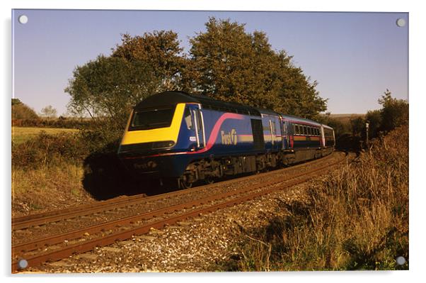HST 43033 Great Western train, Devon Acrylic by Simon Armstrong