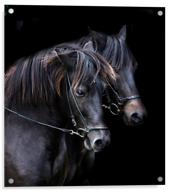  Ponies in the dark Acrylic by Alan Mattison