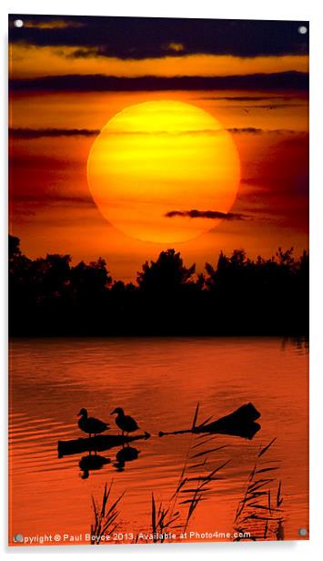 Sunset Ducks Acrylic by Paul Boyce