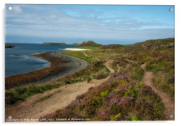 Coral Beaches at Claigan Acrylic by Philip Baines