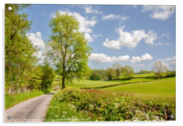 Countryside near Coppice Howe Acrylic by Philip Baines