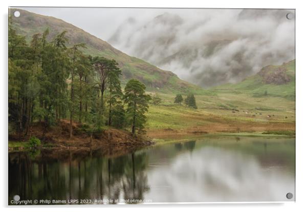 Beautiful Blea Tarn Acrylic by Philip Baines