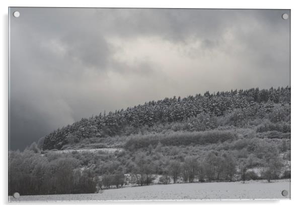 Frozen Forest - Zwyec Winter #8 Acrylic by Henry Clayton