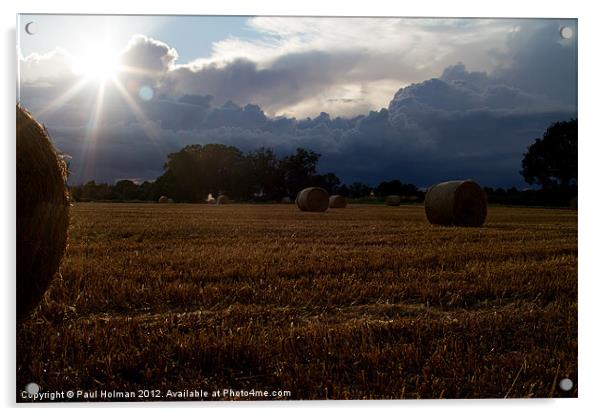 Harvest time 2 Acrylic by Paul Holman Photography