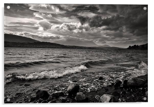 Banks of Loch Lomond Acrylic by Paul Holman Photography