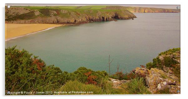 Barafundle Bay, Pembrokeshire Acrylic by Paula J James