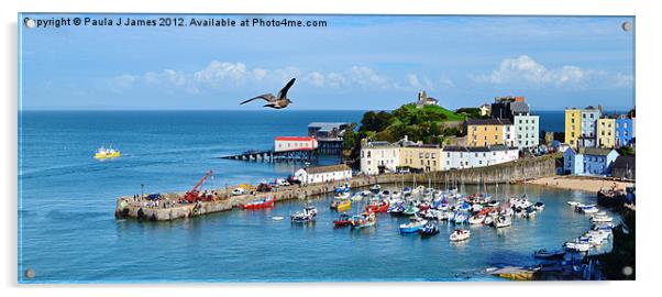 Giant Seagull flying over Tenby Harbour Acrylic by Paula J James