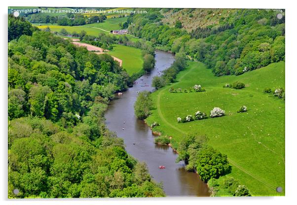 The River Wye Acrylic by Paula J James