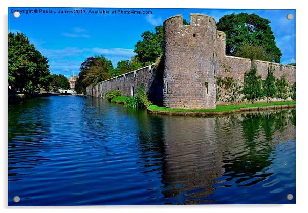 Bishops Palace Acrylic by Paula J James