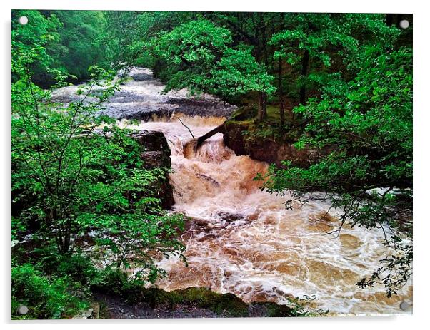 Horseshoe Falls Acrylic by Paula J James