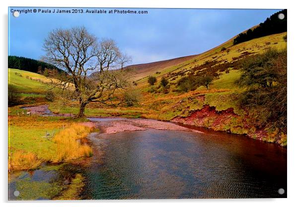 Brecon Beacons Acrylic by Paula J James