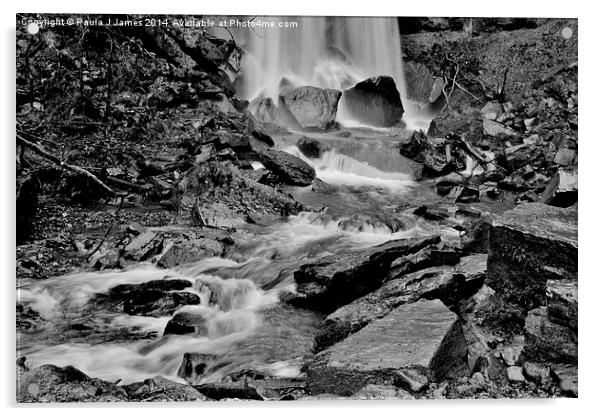 Melin Court Brook Mono Acrylic by Paula J James