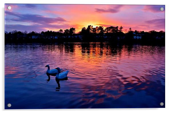 Roath Park at Sunset Acrylic by Paula J James