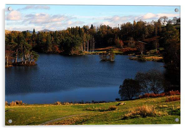 Nice Blue Lake in Cumbria Acrylic by JEAN FITZHUGH