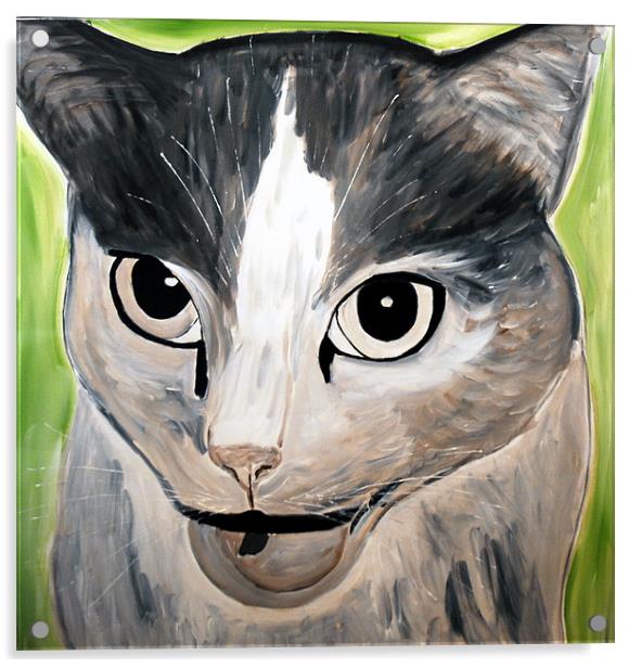 My Painting of an angry Cat Acrylic by JEAN FITZHUGH