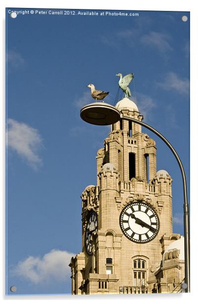 The Liver Birds Liverpool Acrylic by Peter Carroll