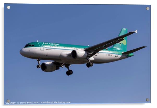 Aer Lingus Airbus A320 Acrylic by David Pyatt