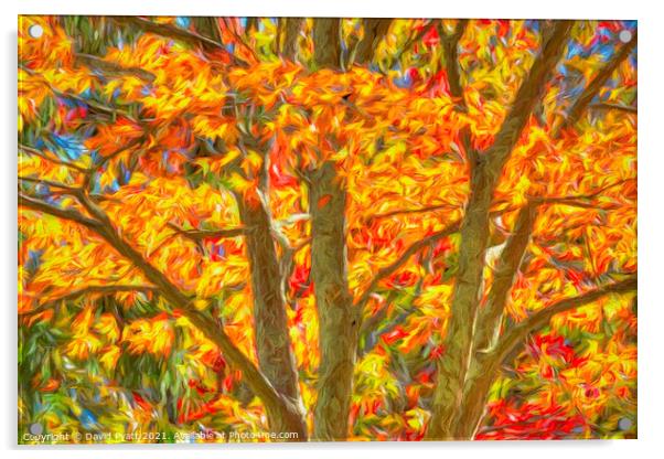 Art Of  Sleepy Hollow Autumn  Acrylic by David Pyatt