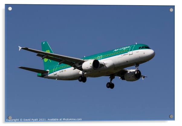 Aer Lingus Airbus A320                          Acrylic by David Pyatt