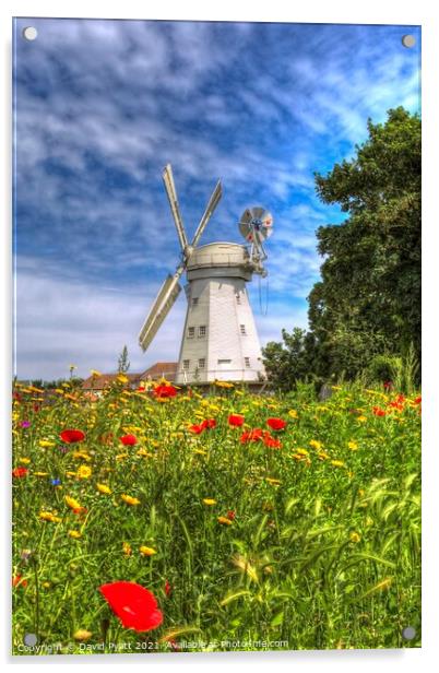 Summer Windmill Poppies  Acrylic by David Pyatt