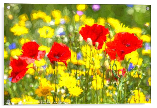 Poppy Meadow Art Acrylic by David Pyatt