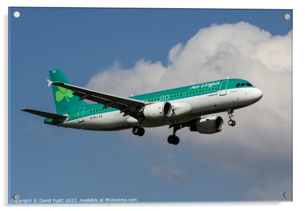 Aer Lingus Airbus A320      Acrylic by David Pyatt
