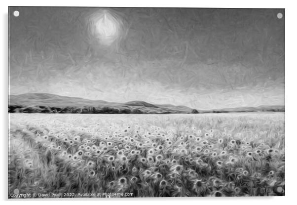Sunflower Vista Art Acrylic by David Pyatt