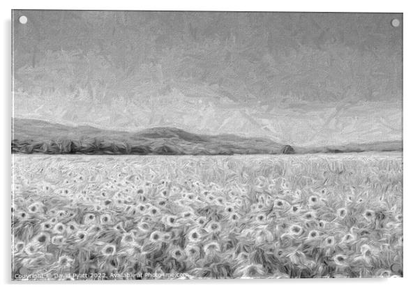 Sunflowers In Monochrome  Acrylic by David Pyatt
