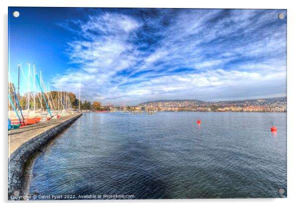 Lake Zurich Vista Acrylic by David Pyatt