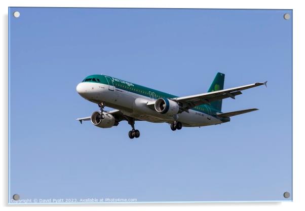 Aer Lingus A320-214   Acrylic by David Pyatt
