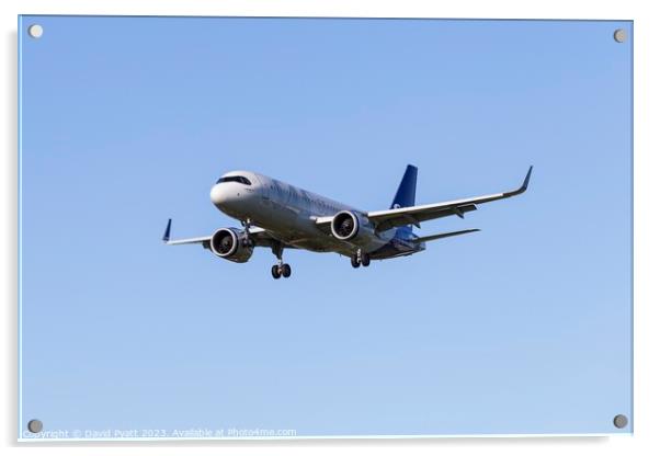 Scandinavian Airlines Airbus A320 Acrylic by David Pyatt